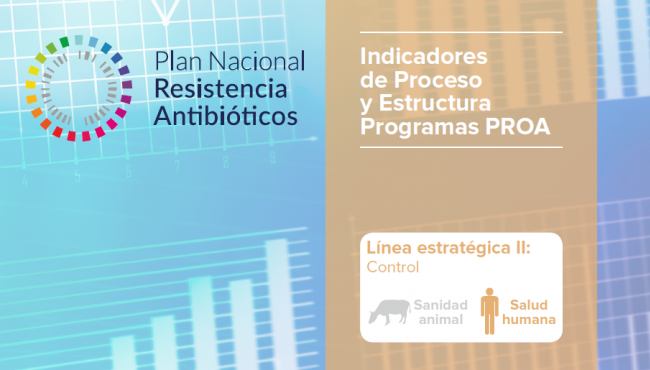 Indicadores de proceso y estructura programas PROA