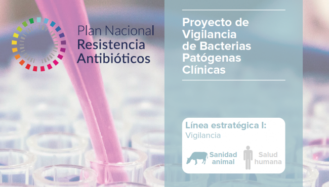 Proyecto de Vigilancia de Bacterias Patógenas Clínicas