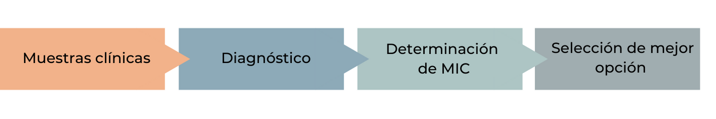 diagrama patógenos