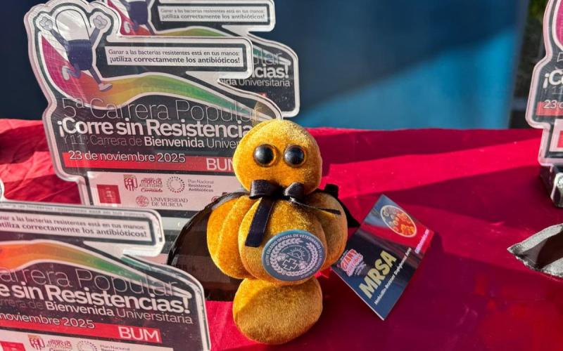 ¡Corre sin resistencias! 2025