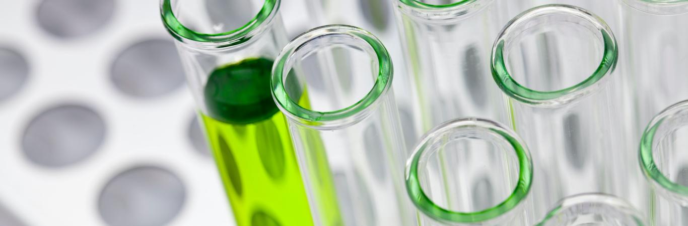 Biotecnología bacteriana ambiental