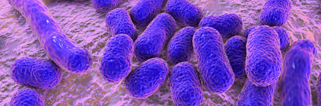 Infecciones bacterianas: Nuevas dianas y nuevas estrategias de prevención y de tratamiento