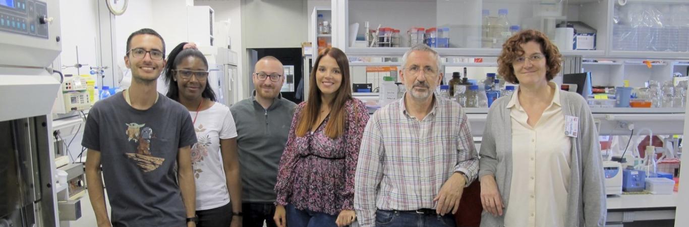 Grupo Regulación génica en Streptomyces