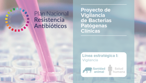 Proyecto de Vigilancia de Bacterias Patógenas Clínicas